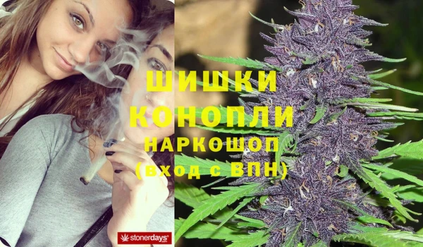 PSILOCYBIN Бронницы